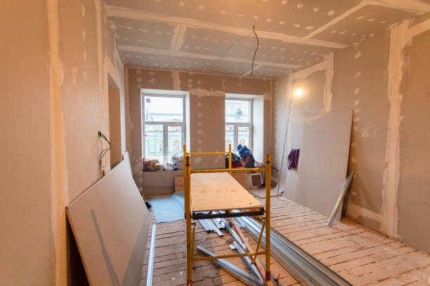 Best Basement Mold Removal  in Denver City, TX
